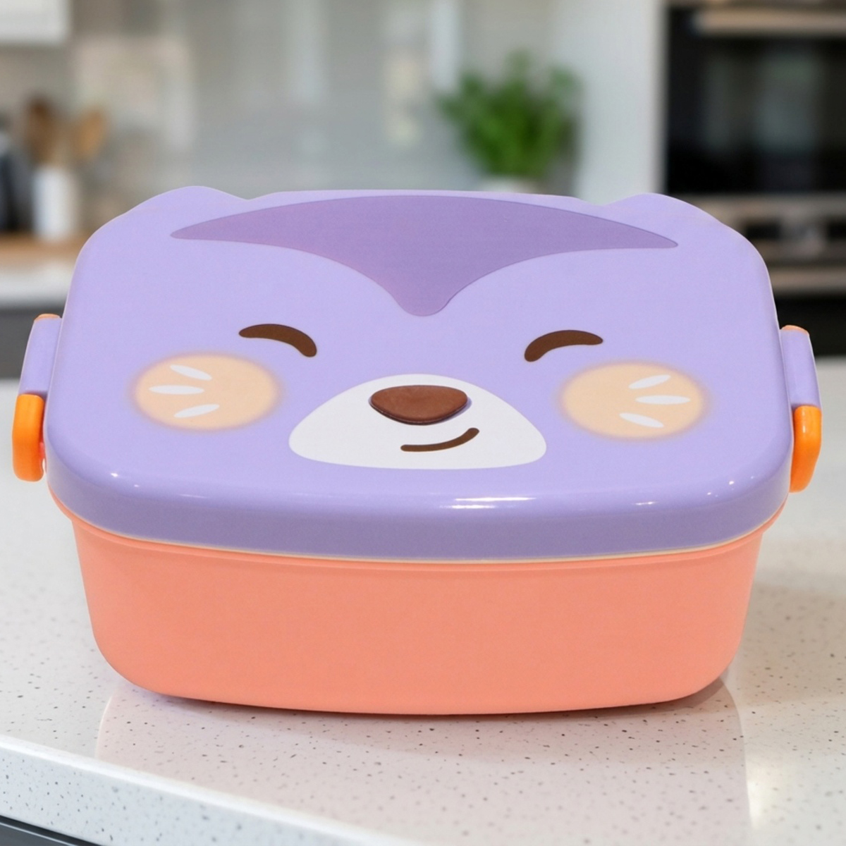 Lunch Box Set
