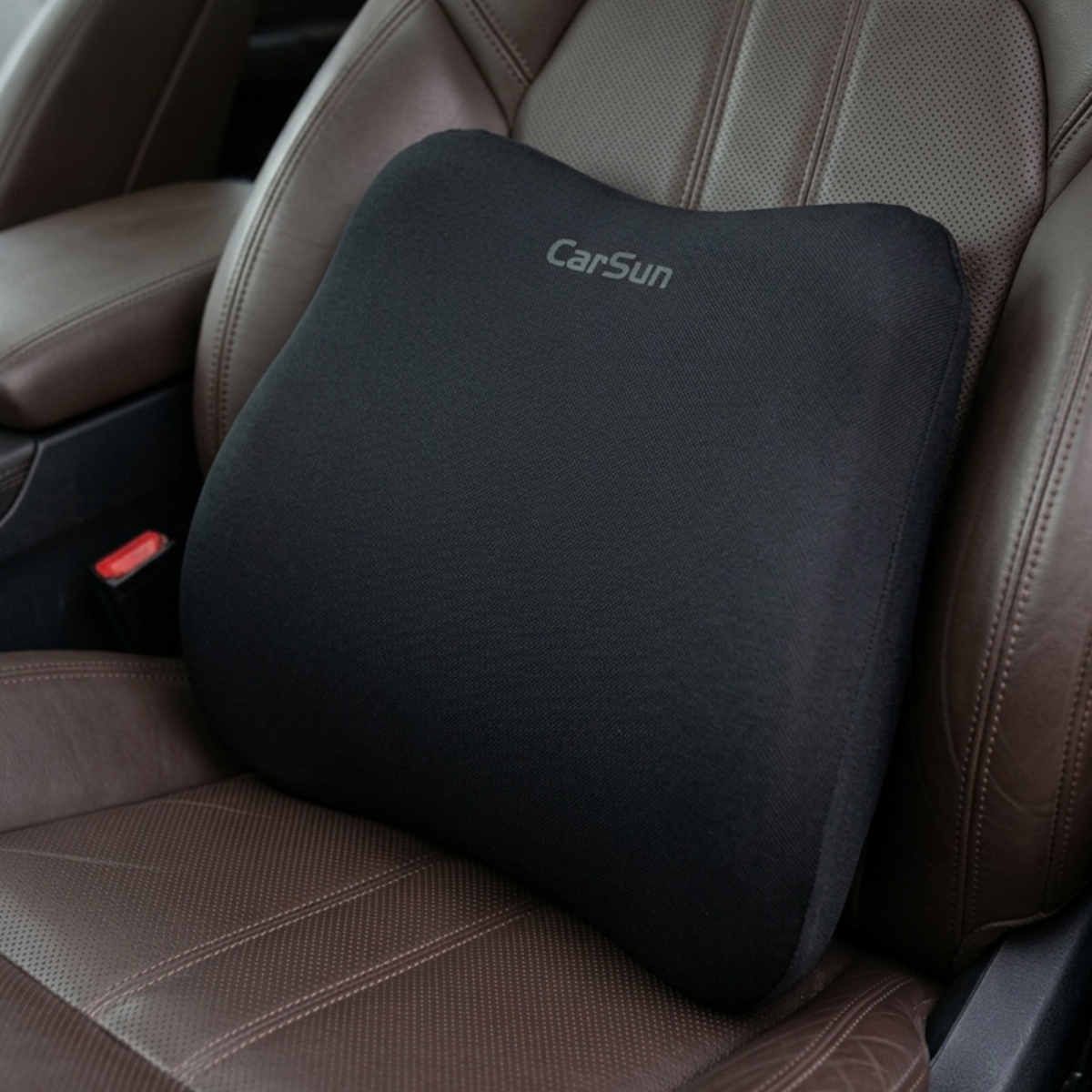 Carsun Lumbar Support Cushion 40x30cm