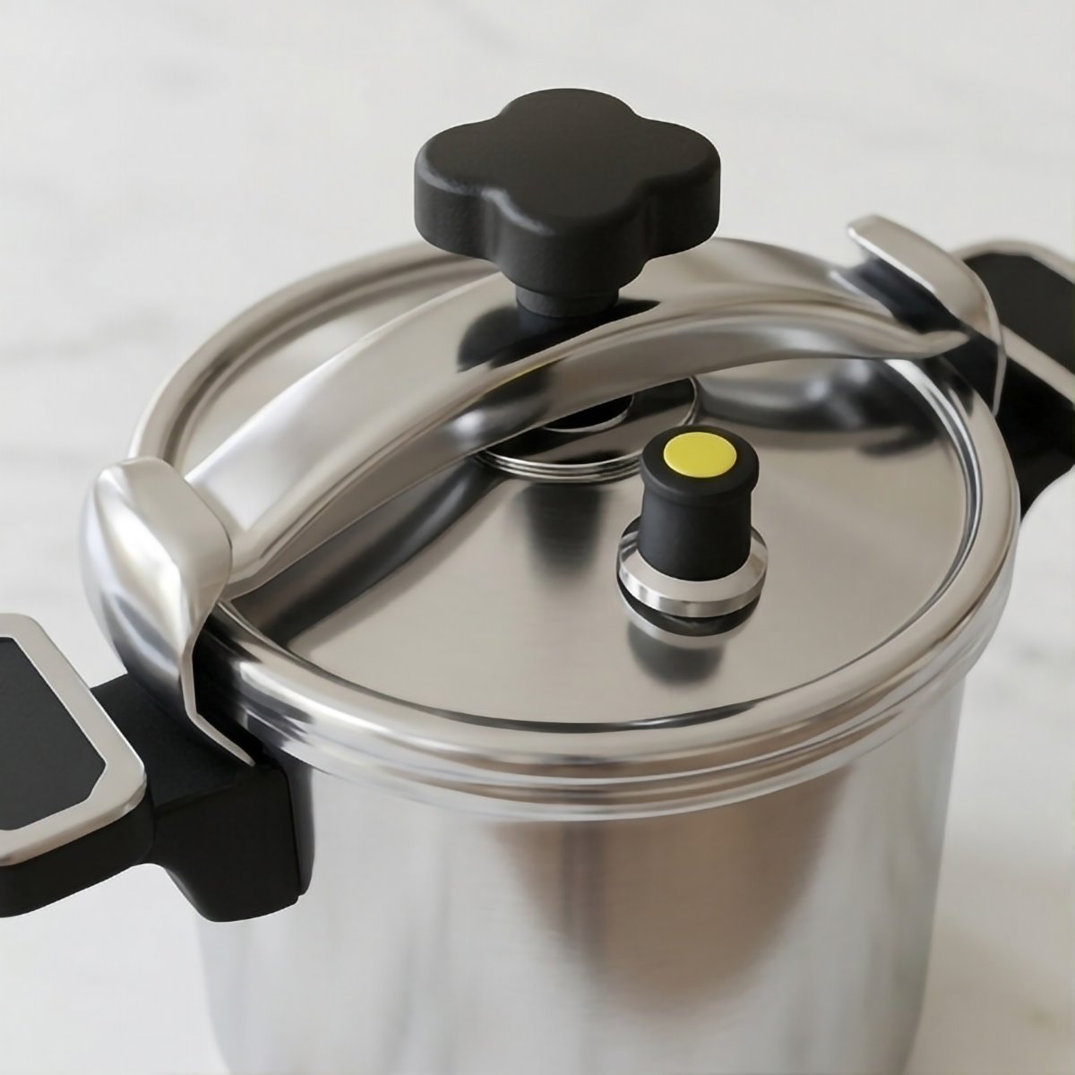 Stainless Steel Pressure Cooker