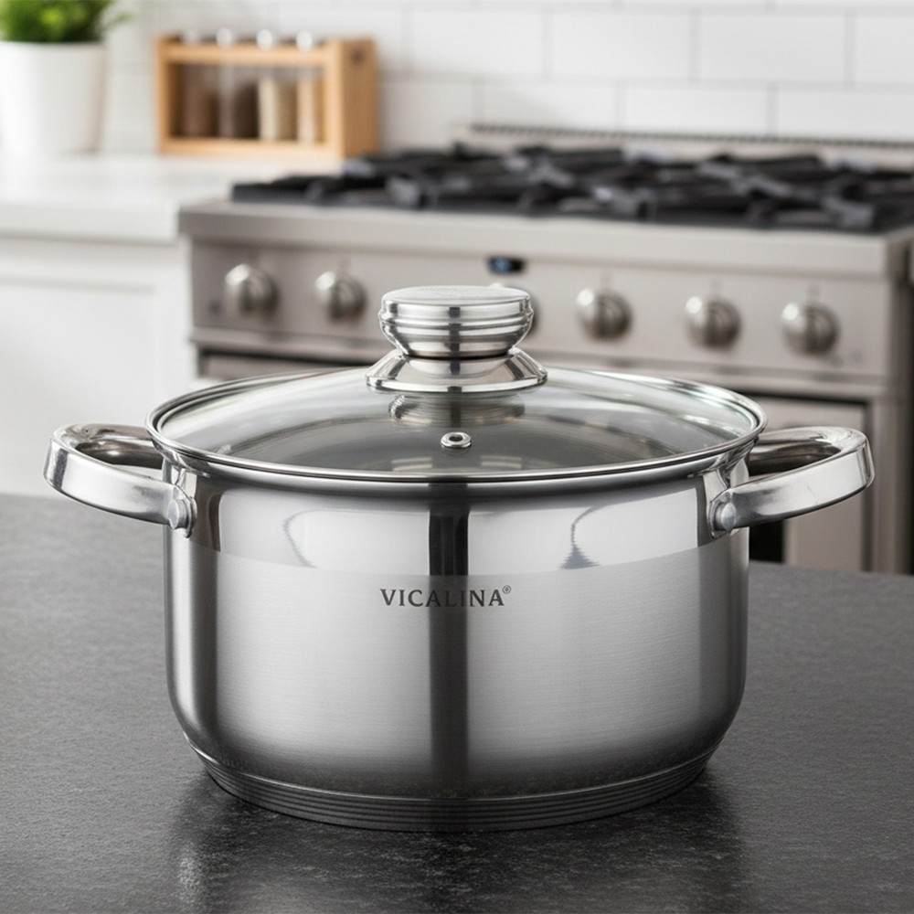 Vicalina Stainless Steel Casserole 24cm