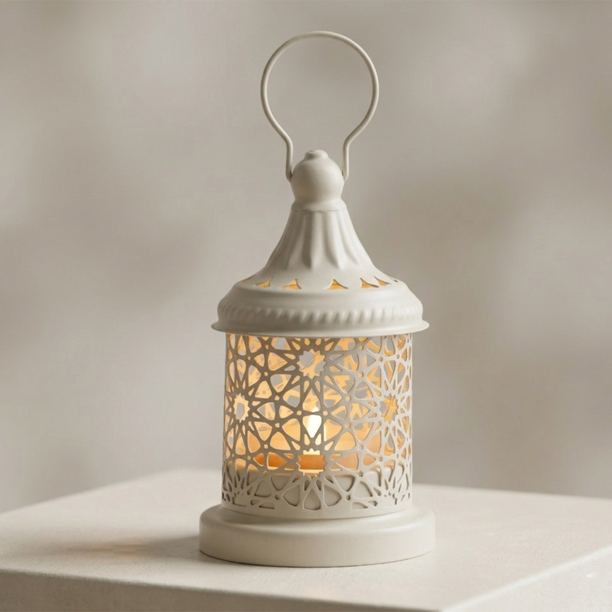 Metal Fanus With Light