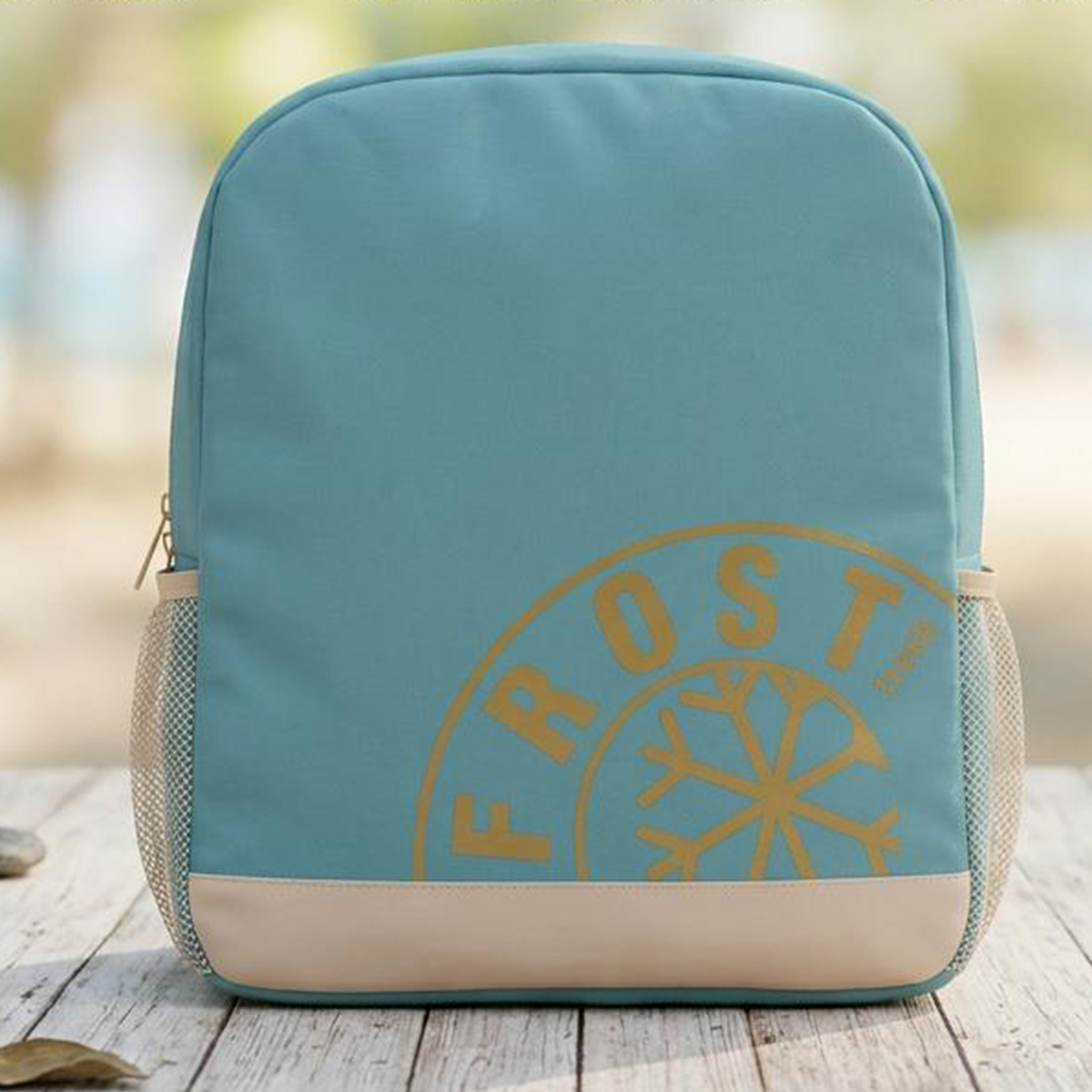 Cooler Bag 24L 32x19x40cm Assorted Color