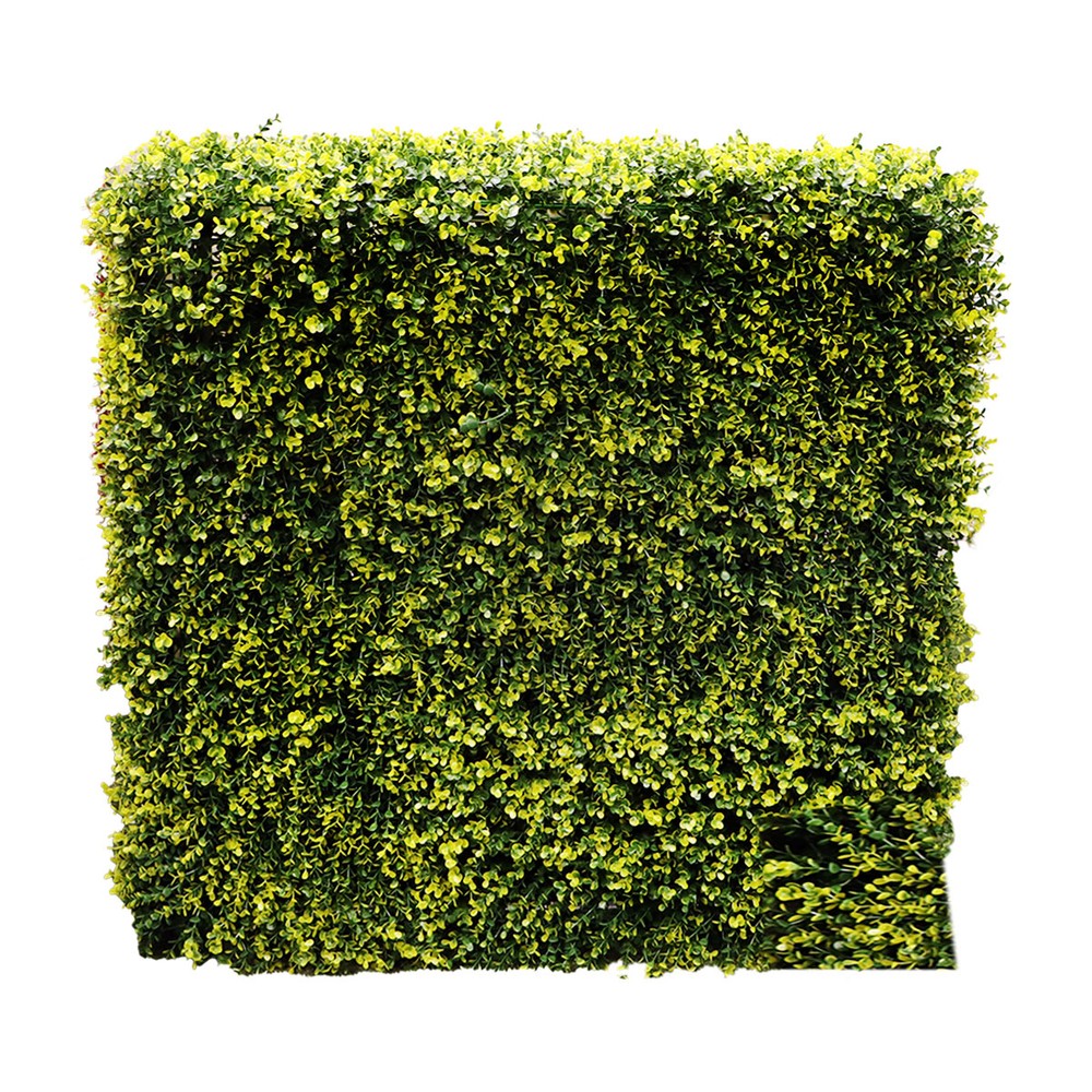 Assemble Hedge 75x75cm
