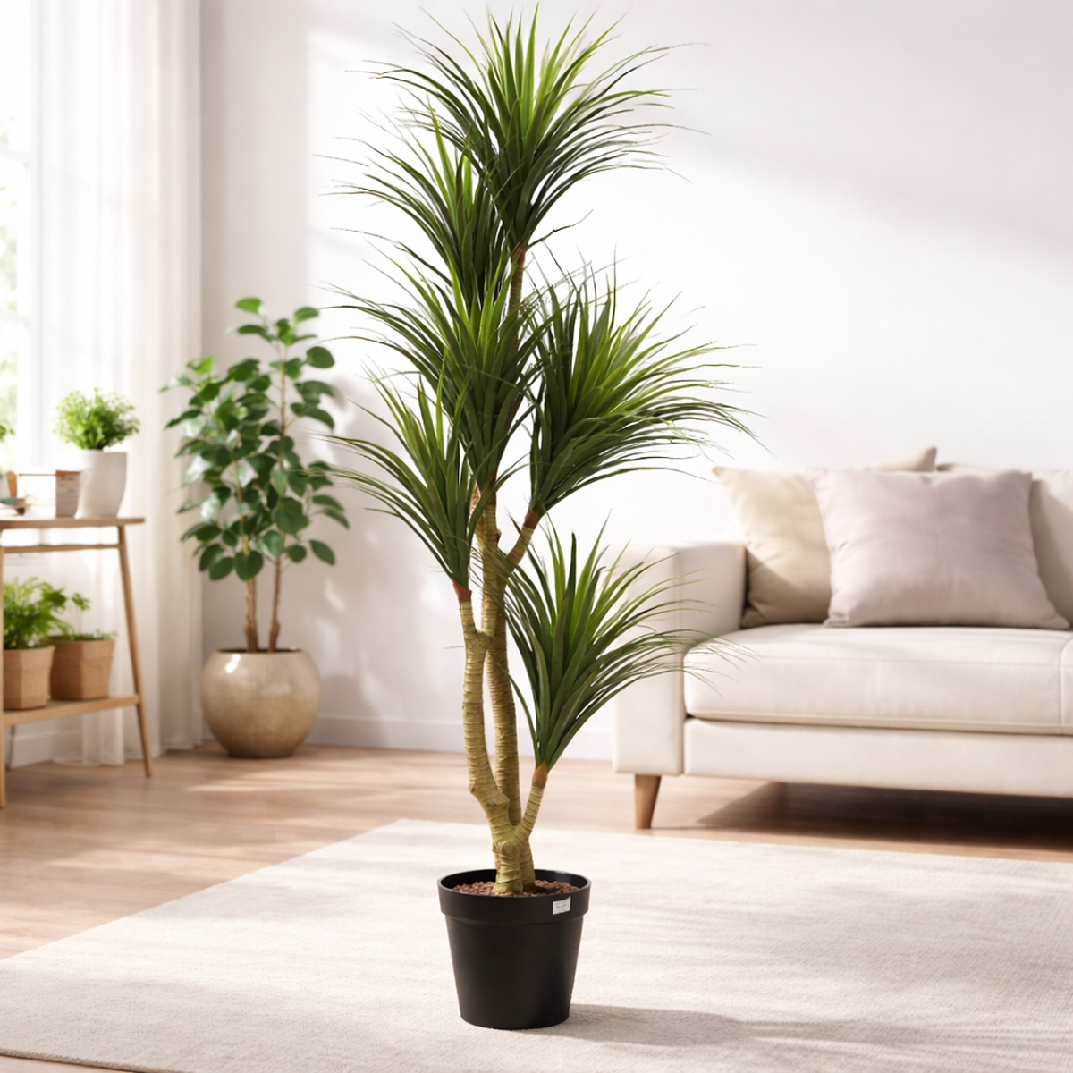 Artificial Dracaena Plant With Pot 200cm | Home Decor | Flowers & Plant Pots | Artificial Trees Artificial Dracaena Plant With Pot 200cm | Home Decor | Flowers & Plant Pots | Artificial Trees