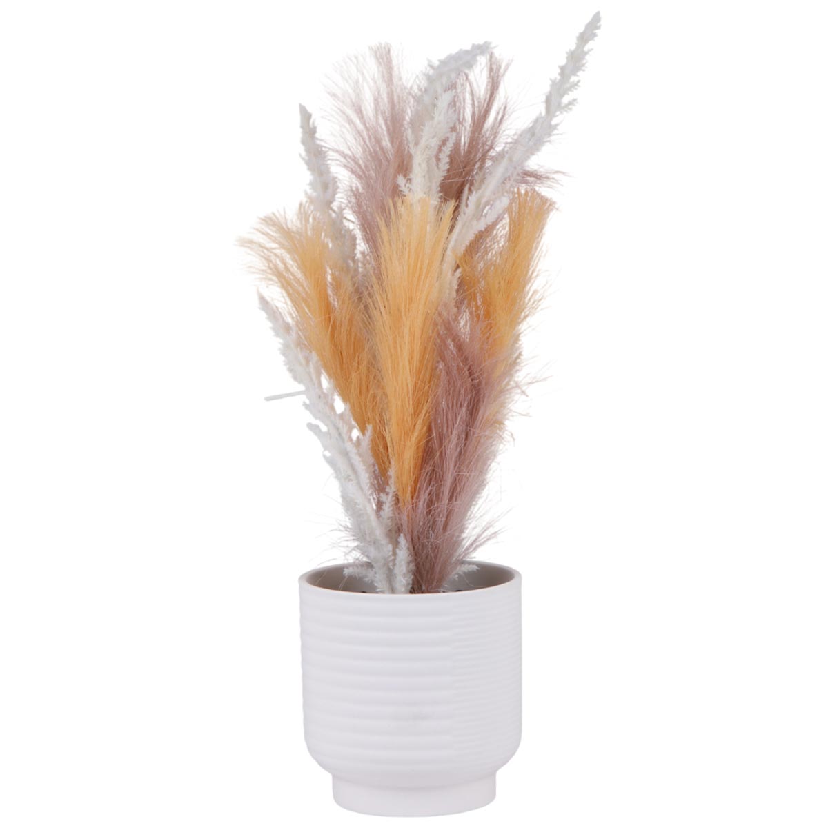 Decorative Pampas Grass With Pot