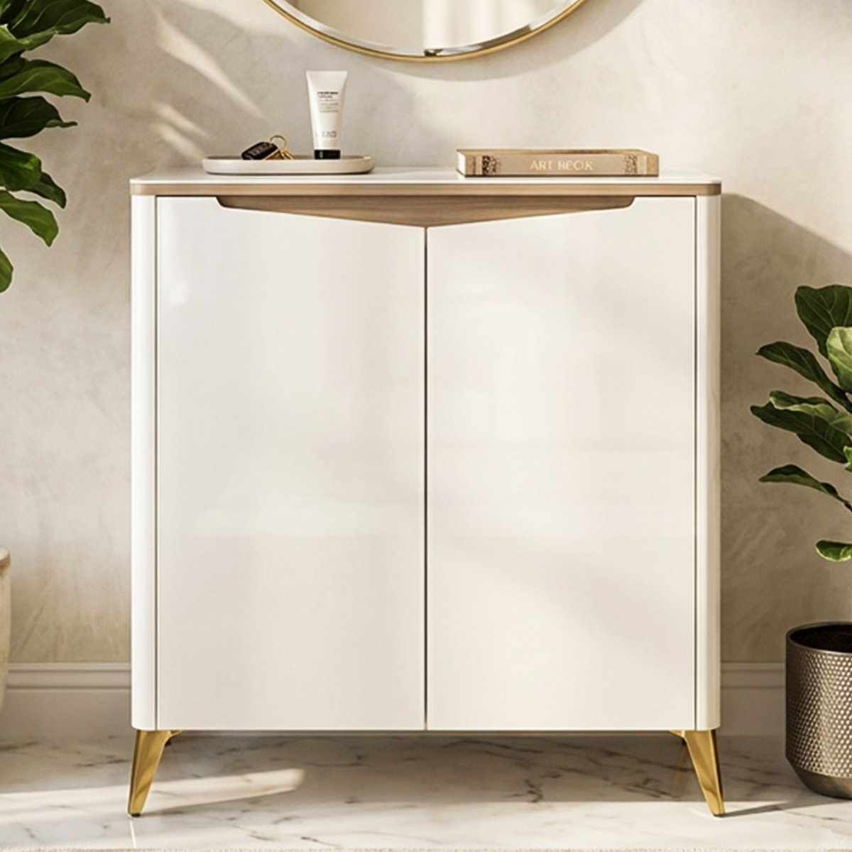 2 Door Shoes Cabinet Modern
