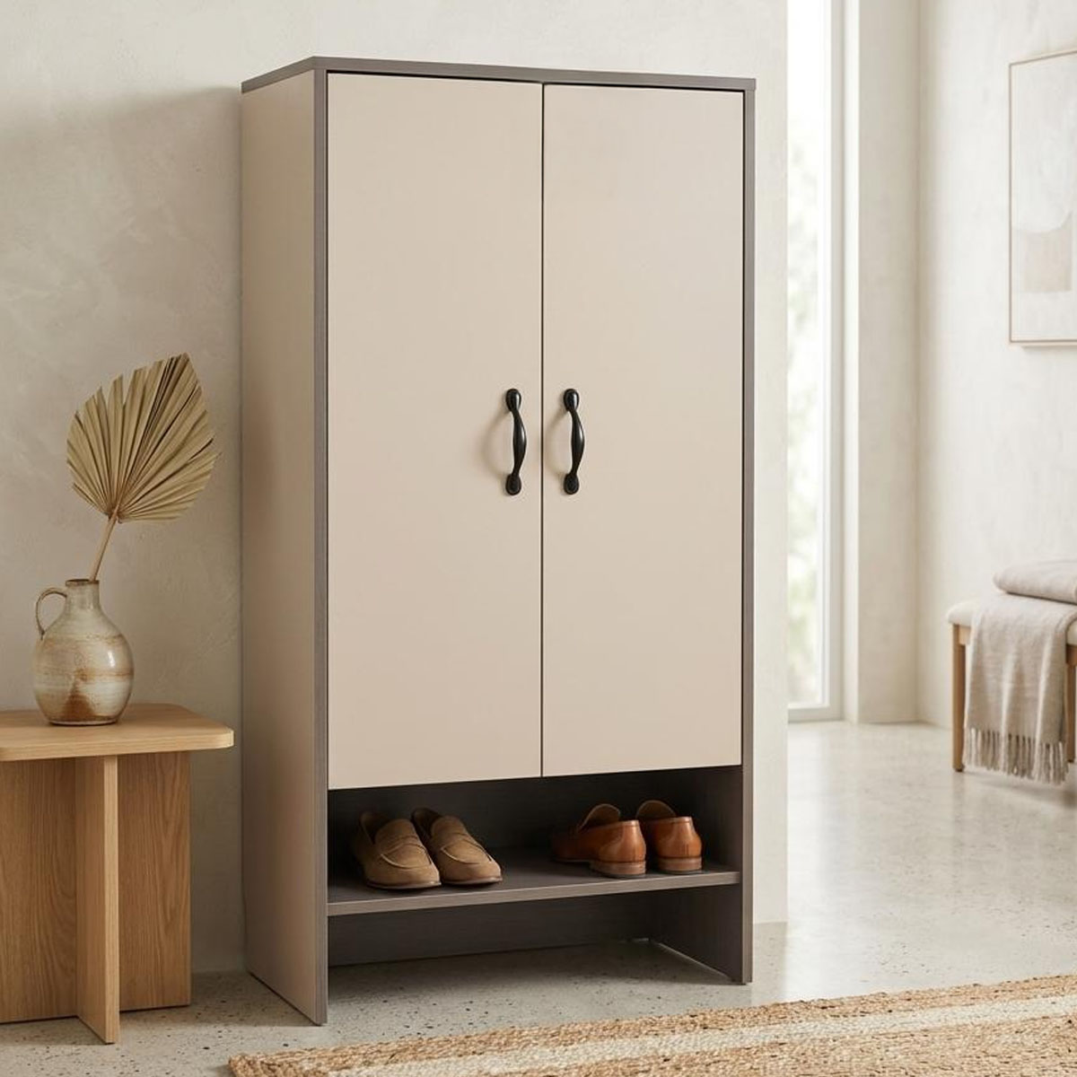Shoes Cabinet With 2 Doors