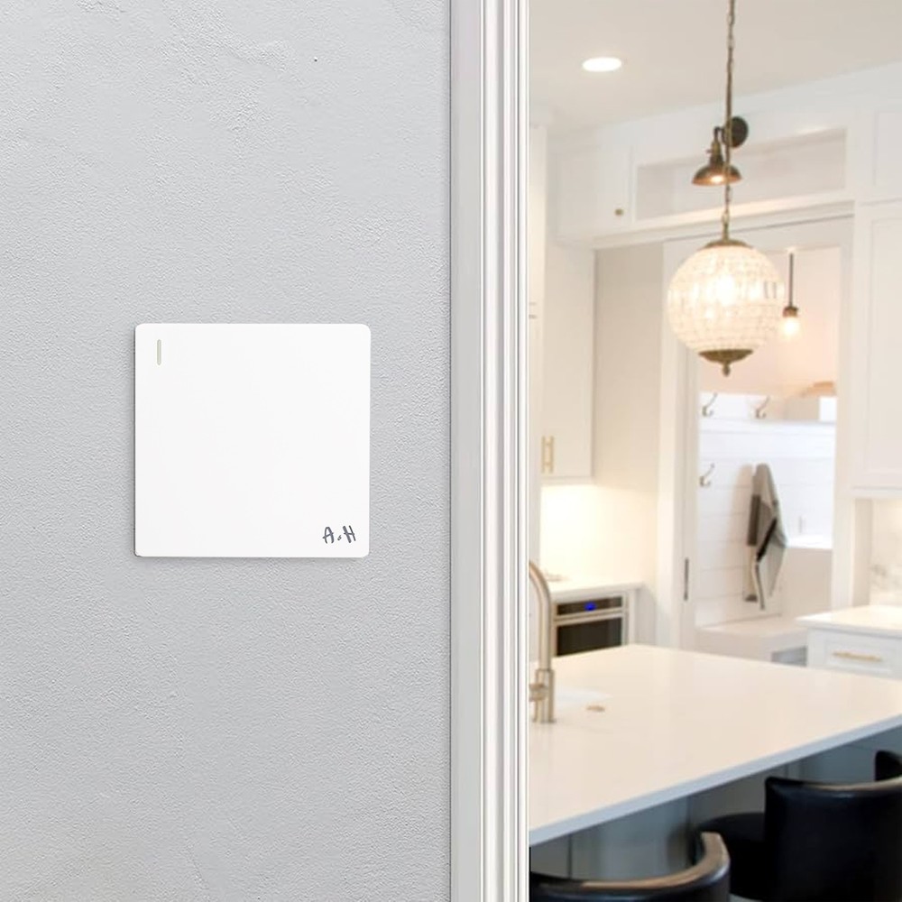 A&H 1 Gang 1 Way Plate Switch