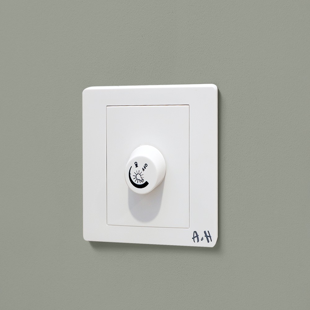 A&H Light Dimmer Switch 1000W