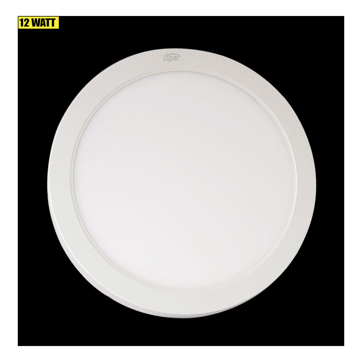 Surface Down Light 12W