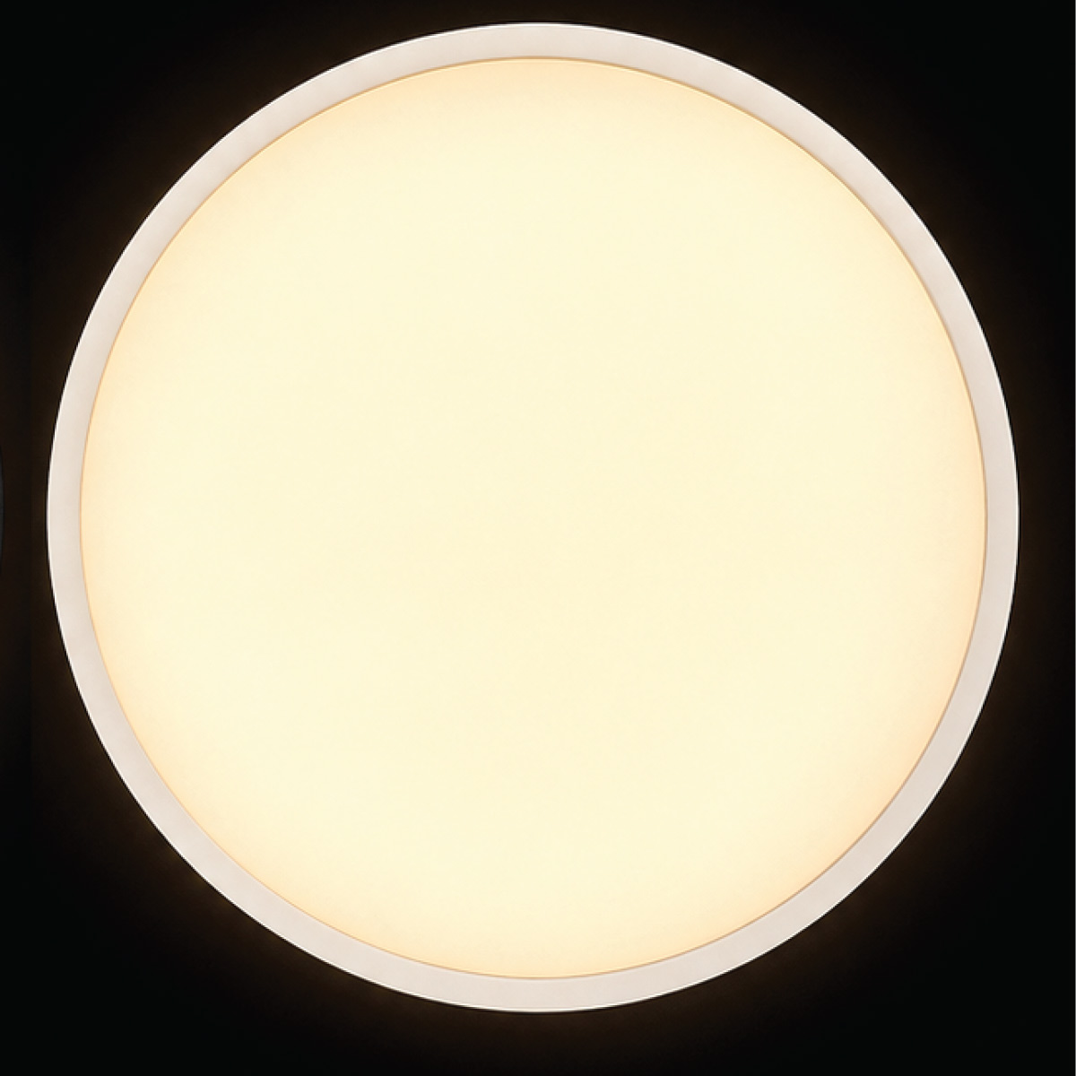 Round Ceiling Light LED 6500k