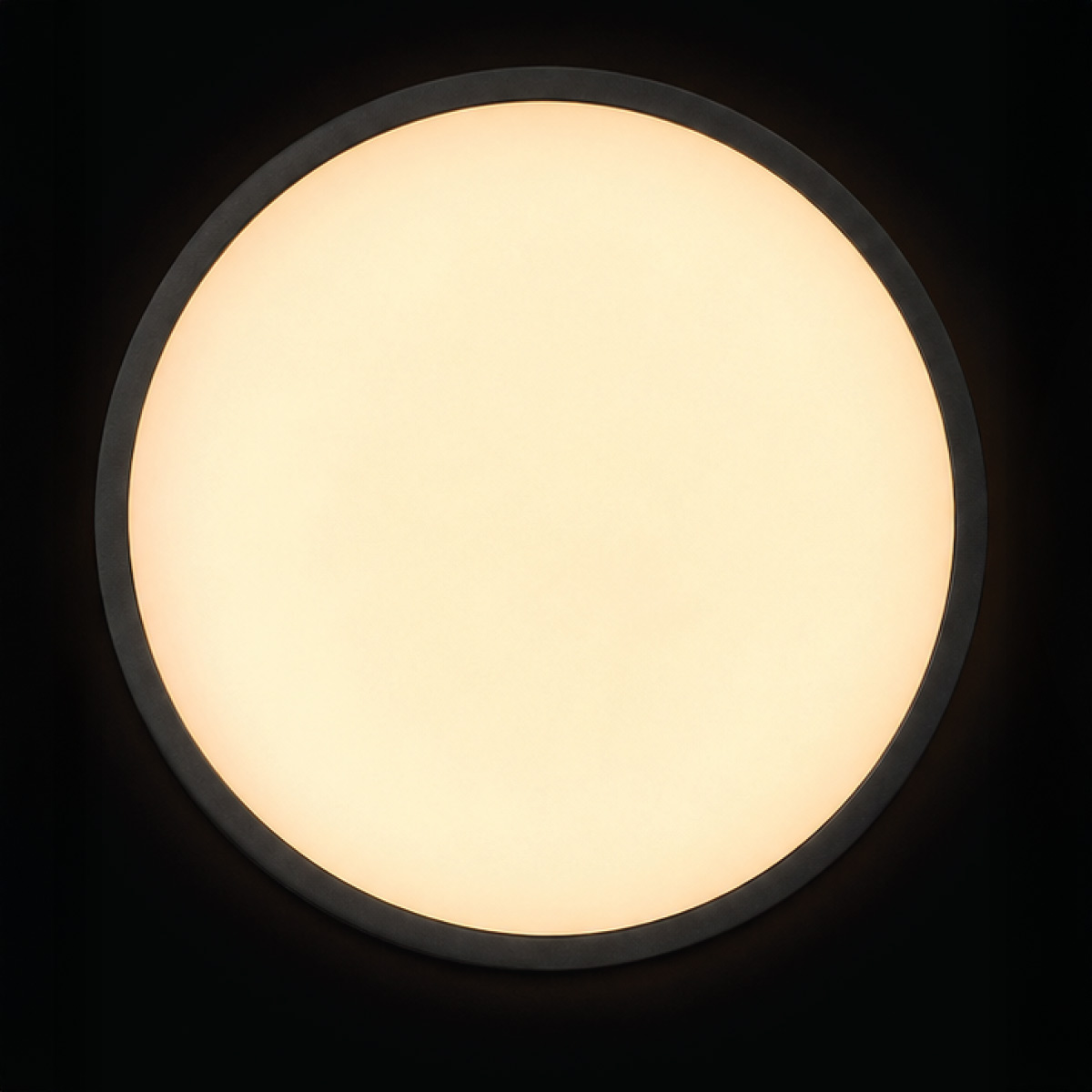 Round Ceiling Light LED 6500k