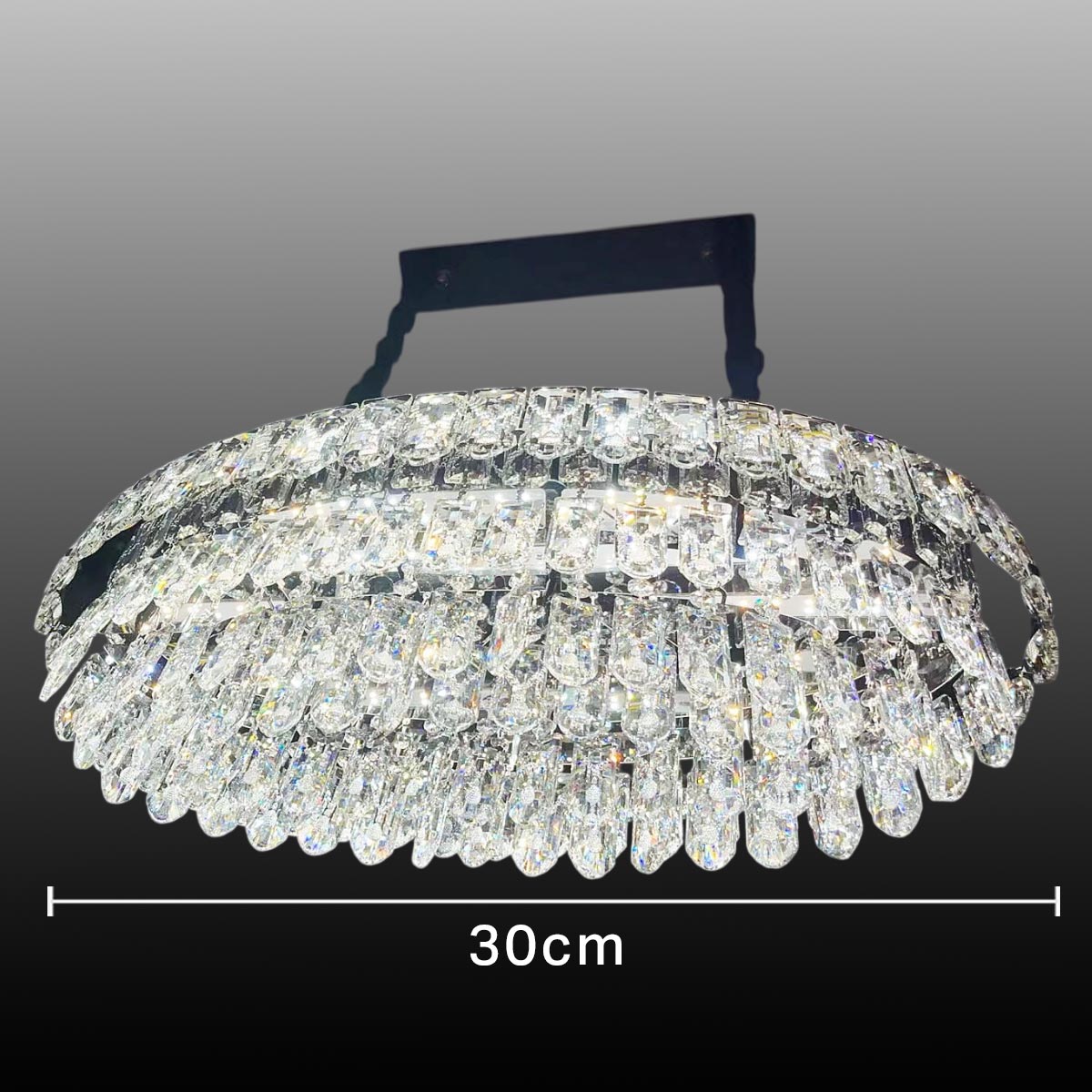 Crystal Hanging Light Silver
