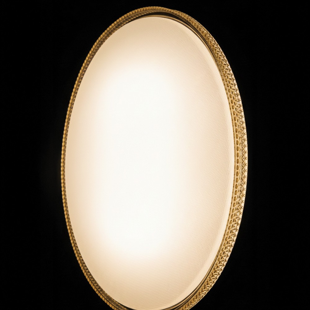 Plastic Ceiling Light