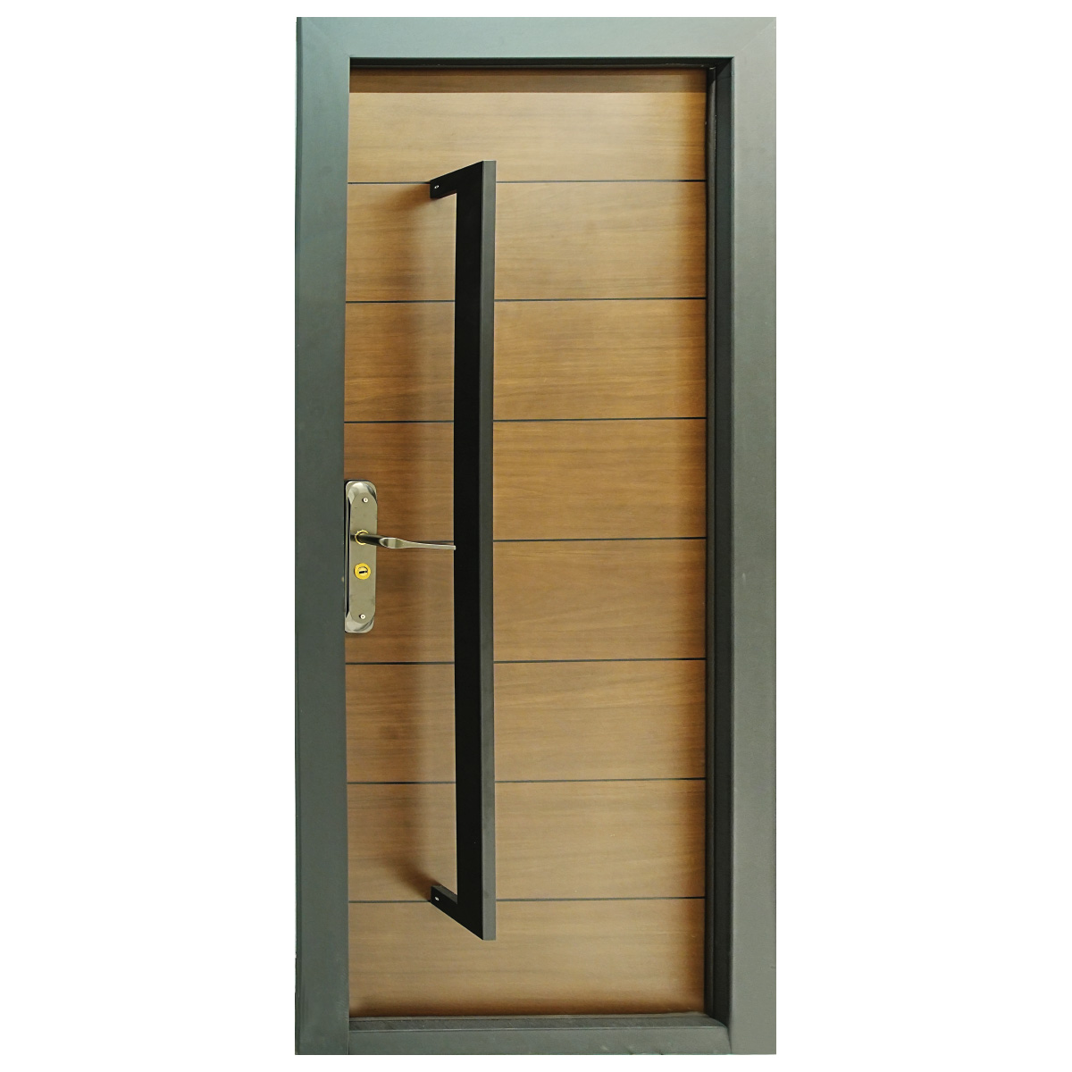 Steel Door 210x90cm DK01-R