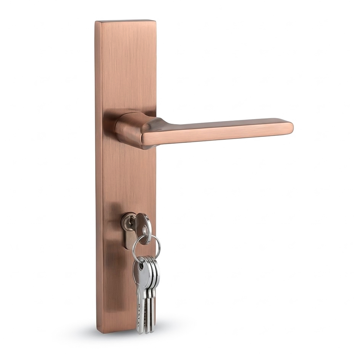 Modern Door Lock Set Roset