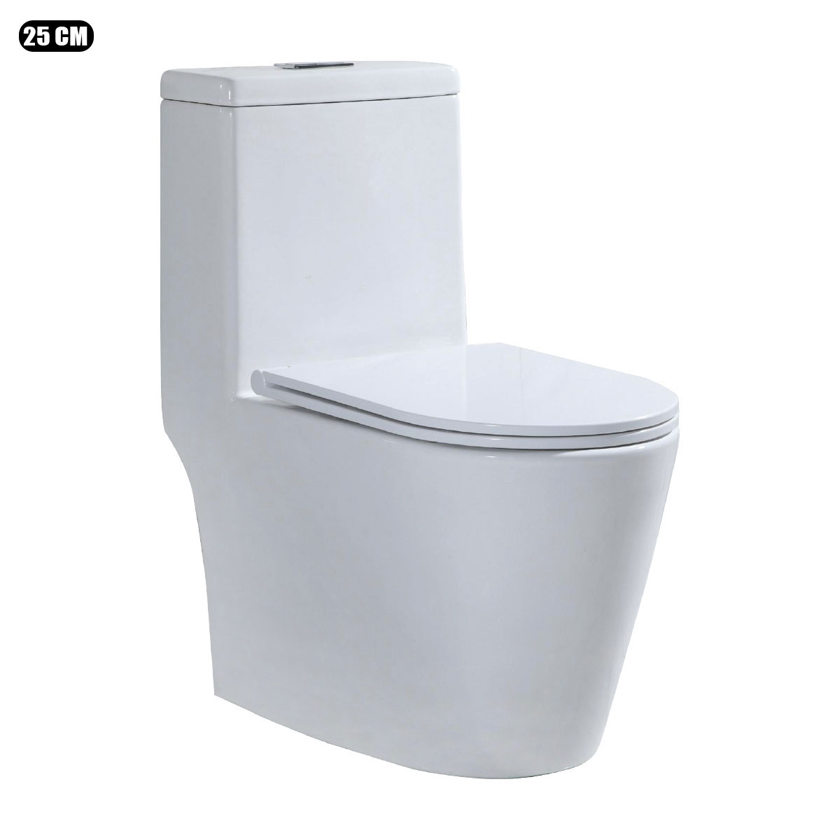 Washdown 1 Pcs Toilet (1Box)