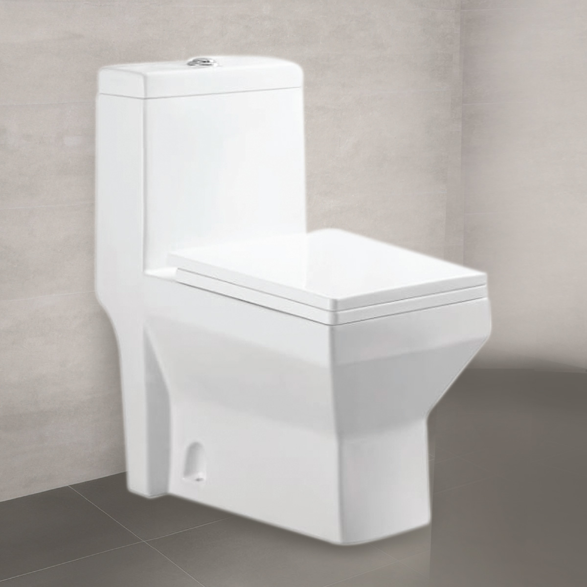 Water Closet 1 Piece