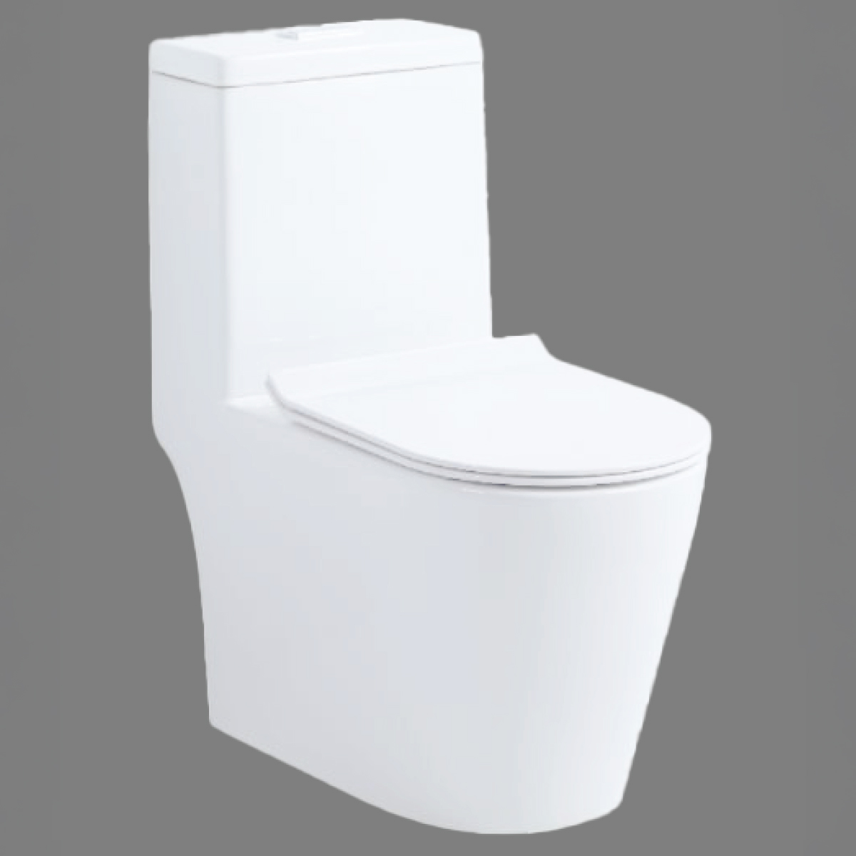 Water Closet 1 Piece 680X365X765 Mm
