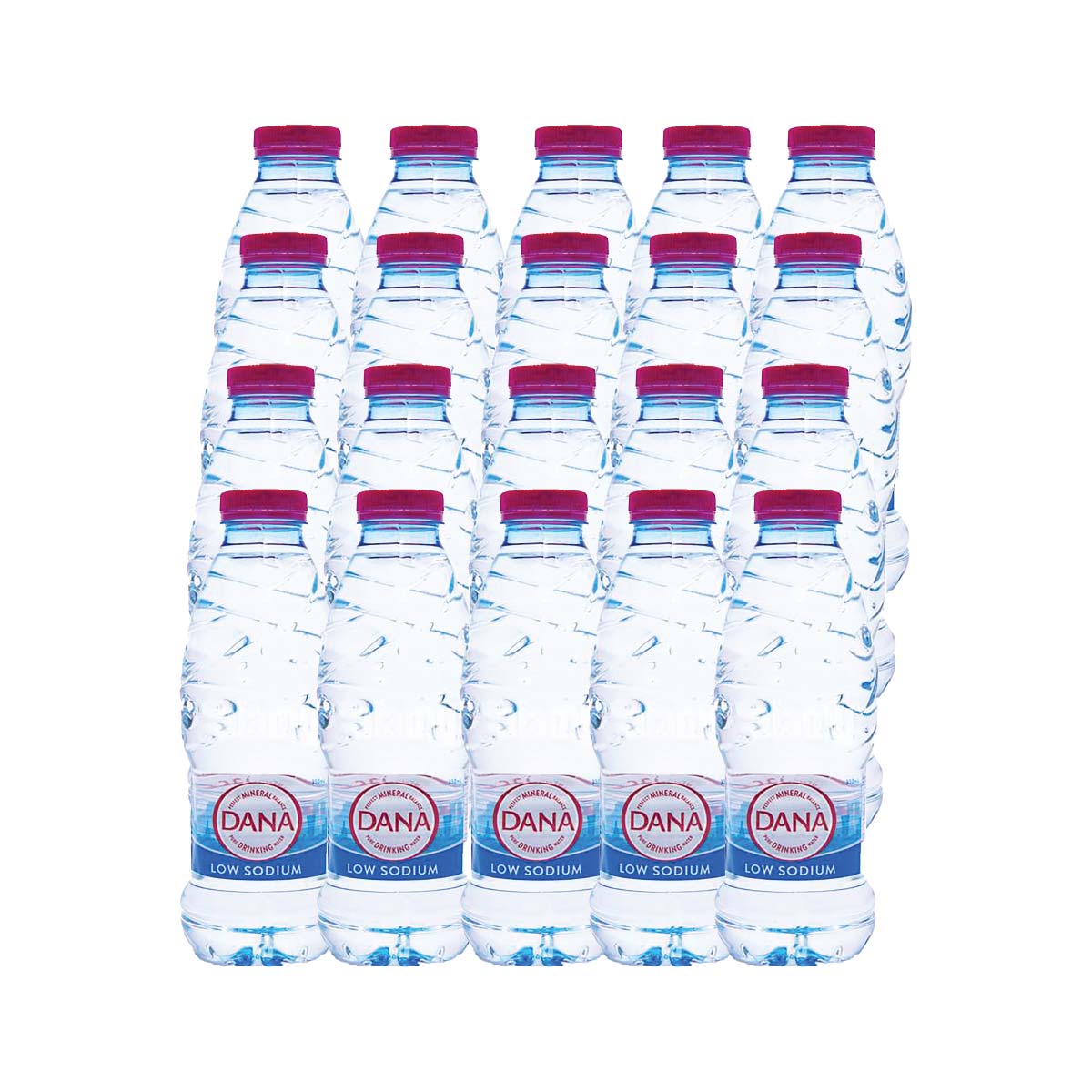 Dana Mineral Balanced Water 20x350Ml