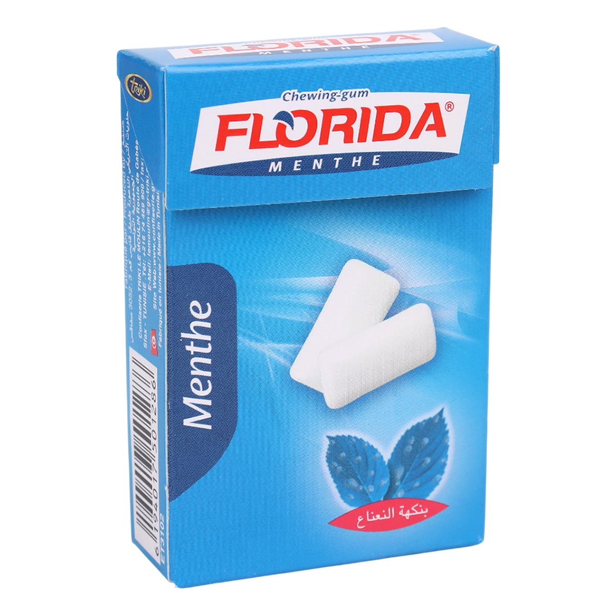 Florida Chewing Gum Peppermint 23g