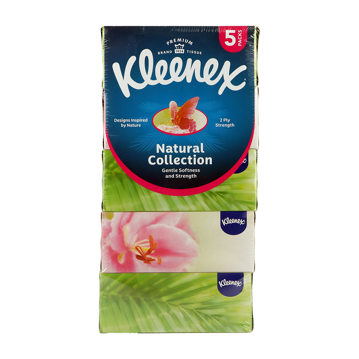 Kleenex Viva Calorie Absorb Kitchen Towel Rolls 5 Box | Disposable & Storage | Tissues & Wipes | Kitchen Rolls