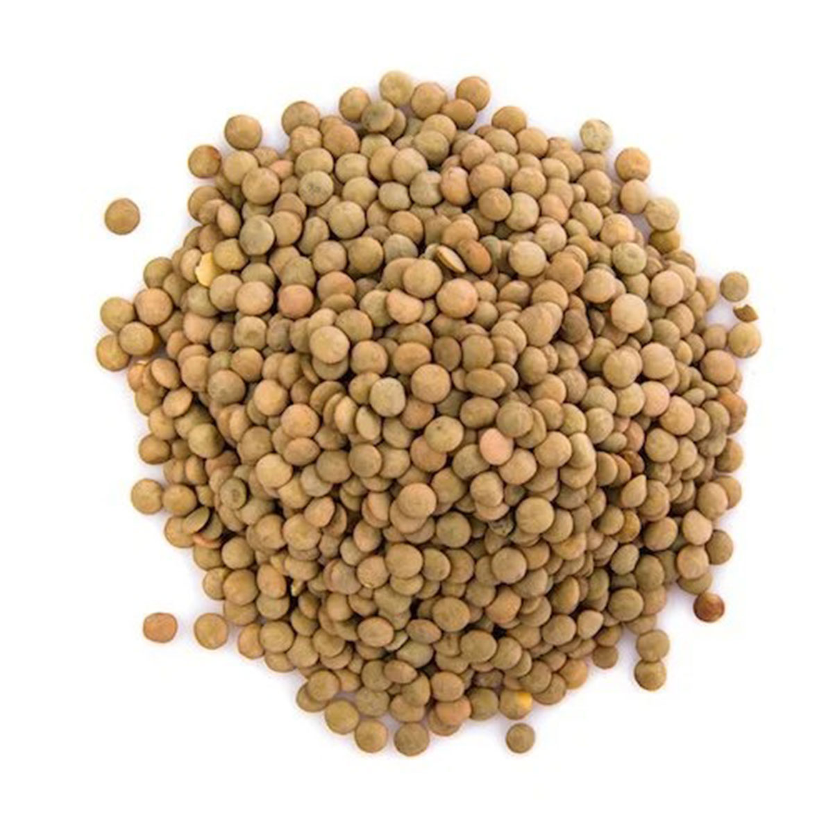 Qpc Red Lentil 1kg