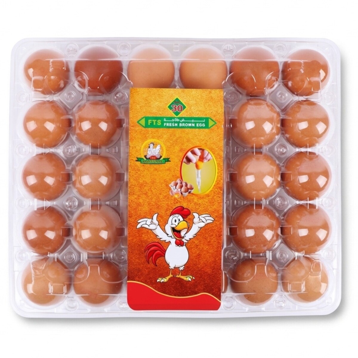Middle East Brown Egg 30S