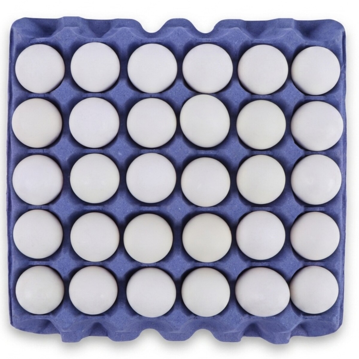 Egg Tray 30 Pieces