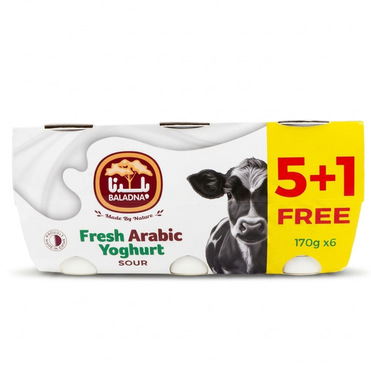 Baladna Fresh Arabic Yoghurt Sour 6x170g
