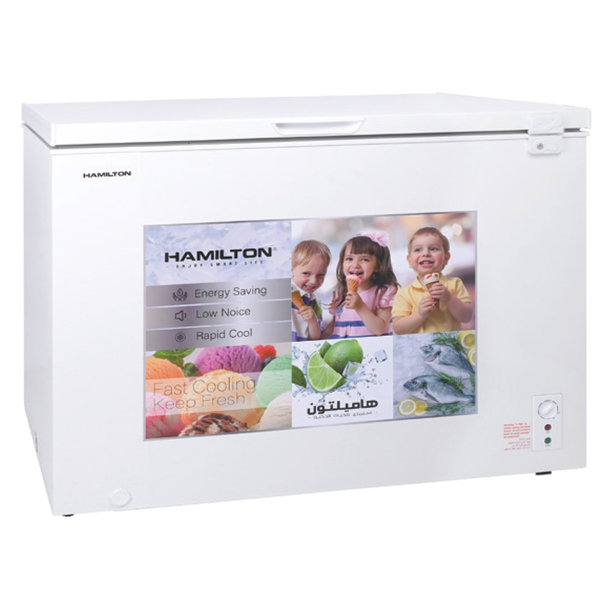 Hamilton Chest Freezer White 250L -HT2801