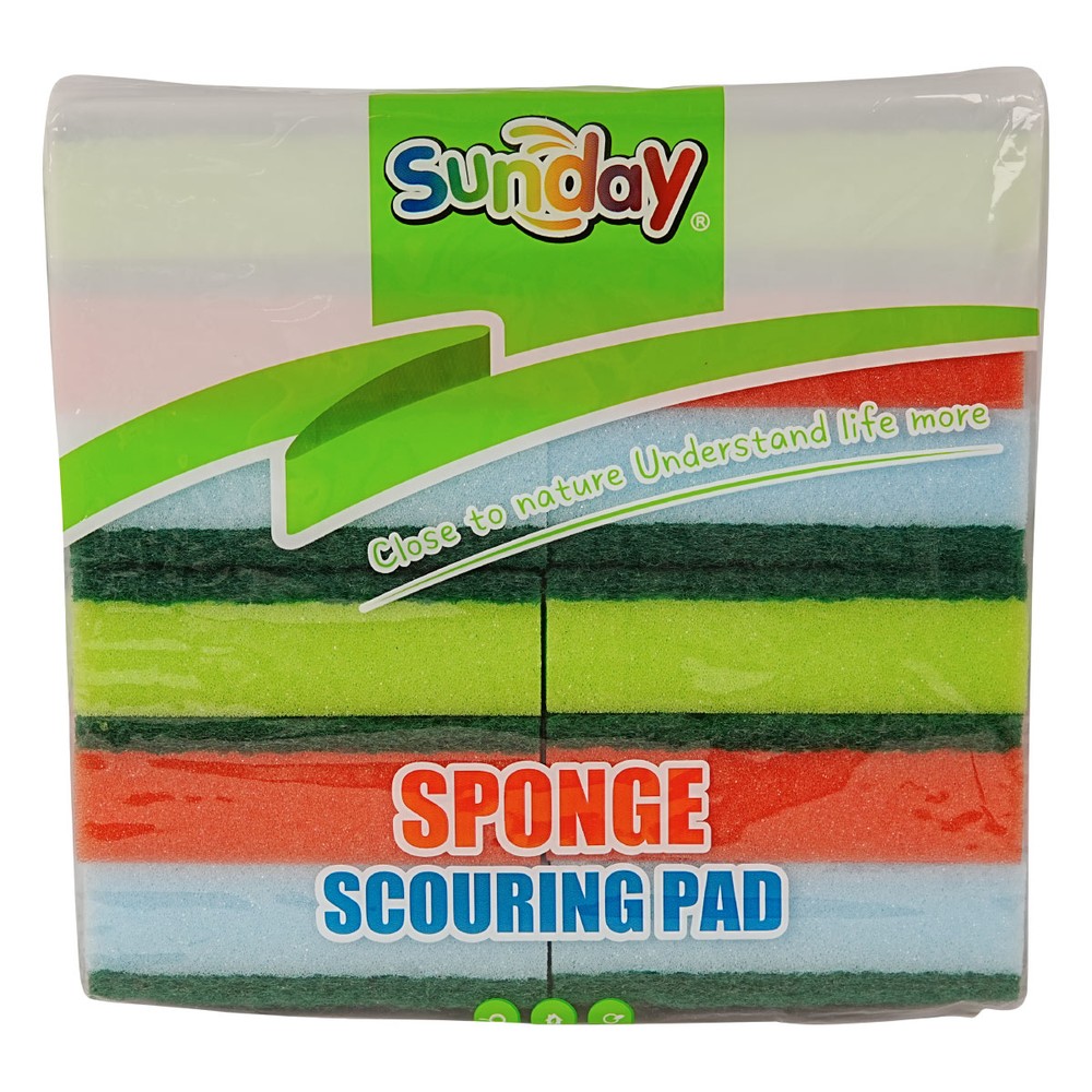 Sponge Scouring Pad 12 Pieces
