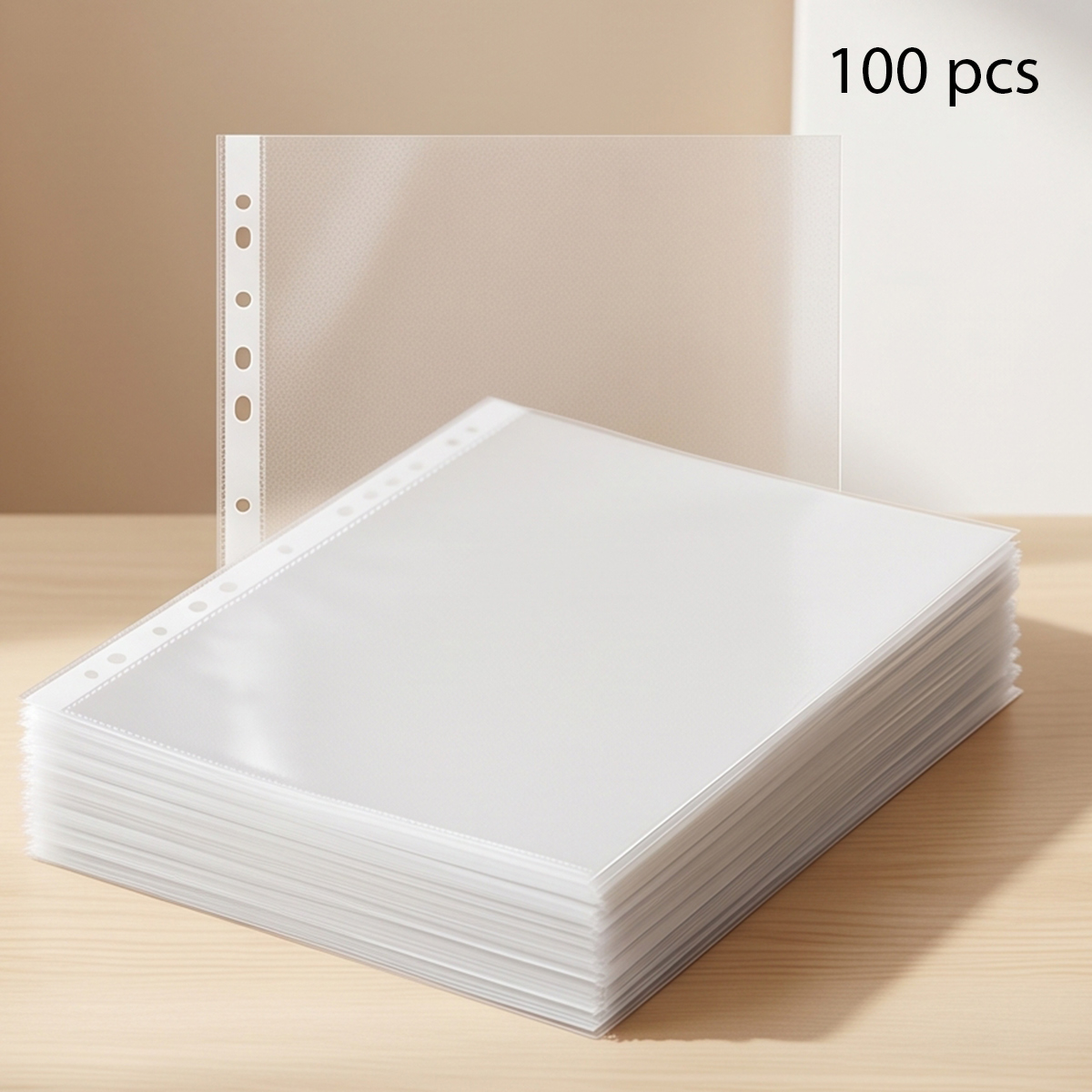 OBO See-Through Sheet Protectors 100 Pages