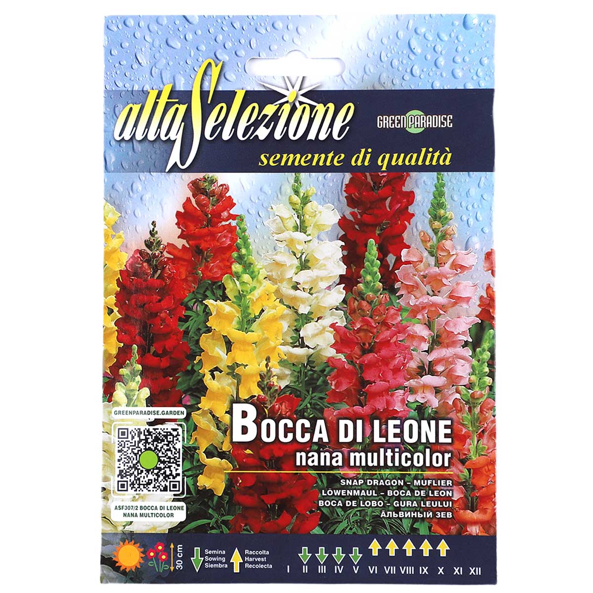 Alta Selezione Bocca Di Leone Nana Multicolor Snap Dragon 1.30g