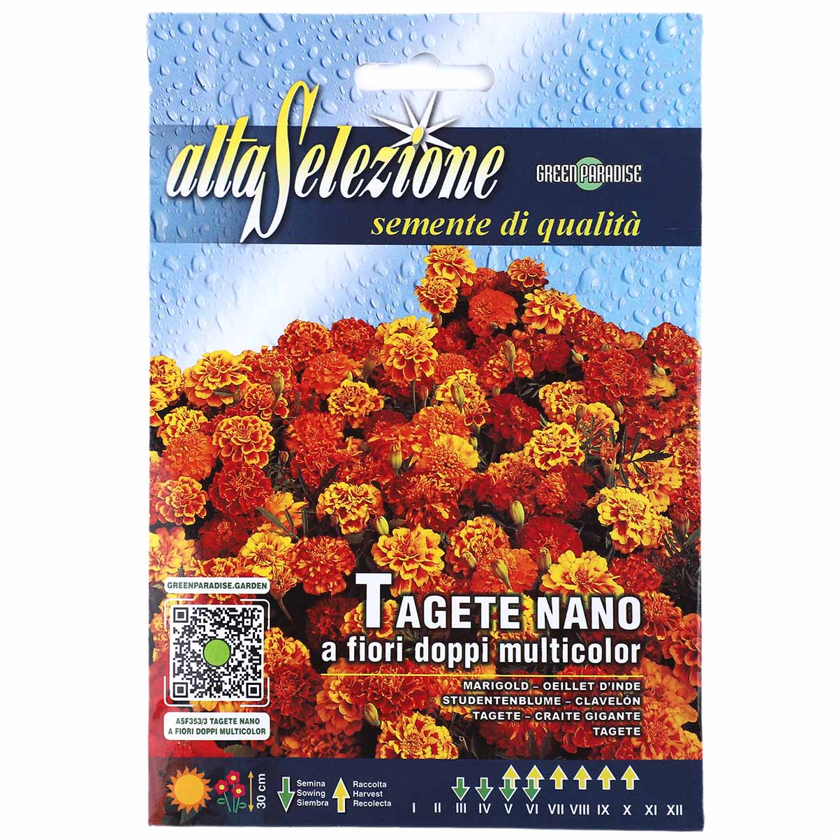 Alta Selezione Tagete Nano Marigold