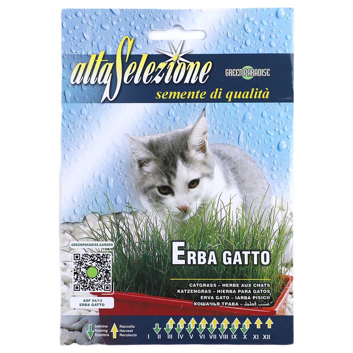Alta Selezione Erba Gatto Catgrass