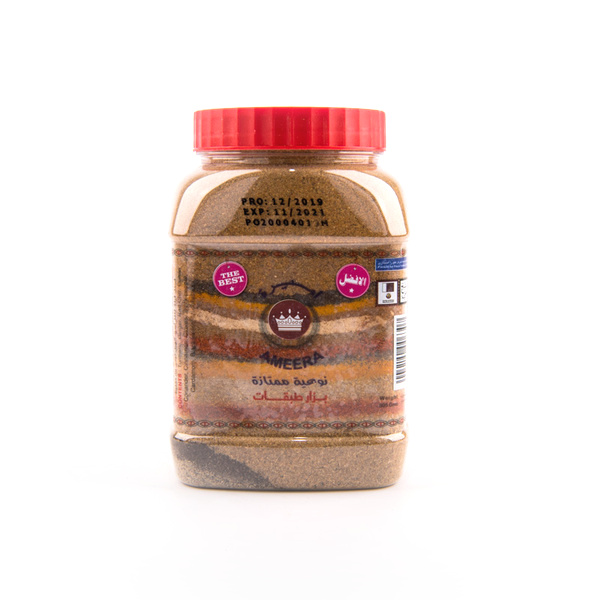 Ameera Masala Mix Powder 800g