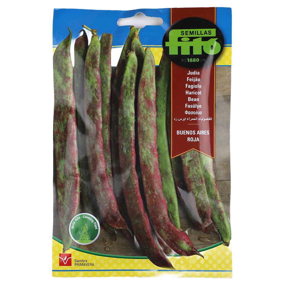 Fito Bean Buenos Aires Roja Seeds