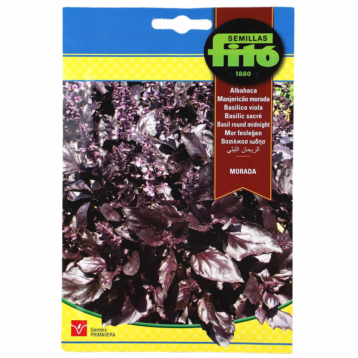 Fito Basil Round Midnight Morada Seeds