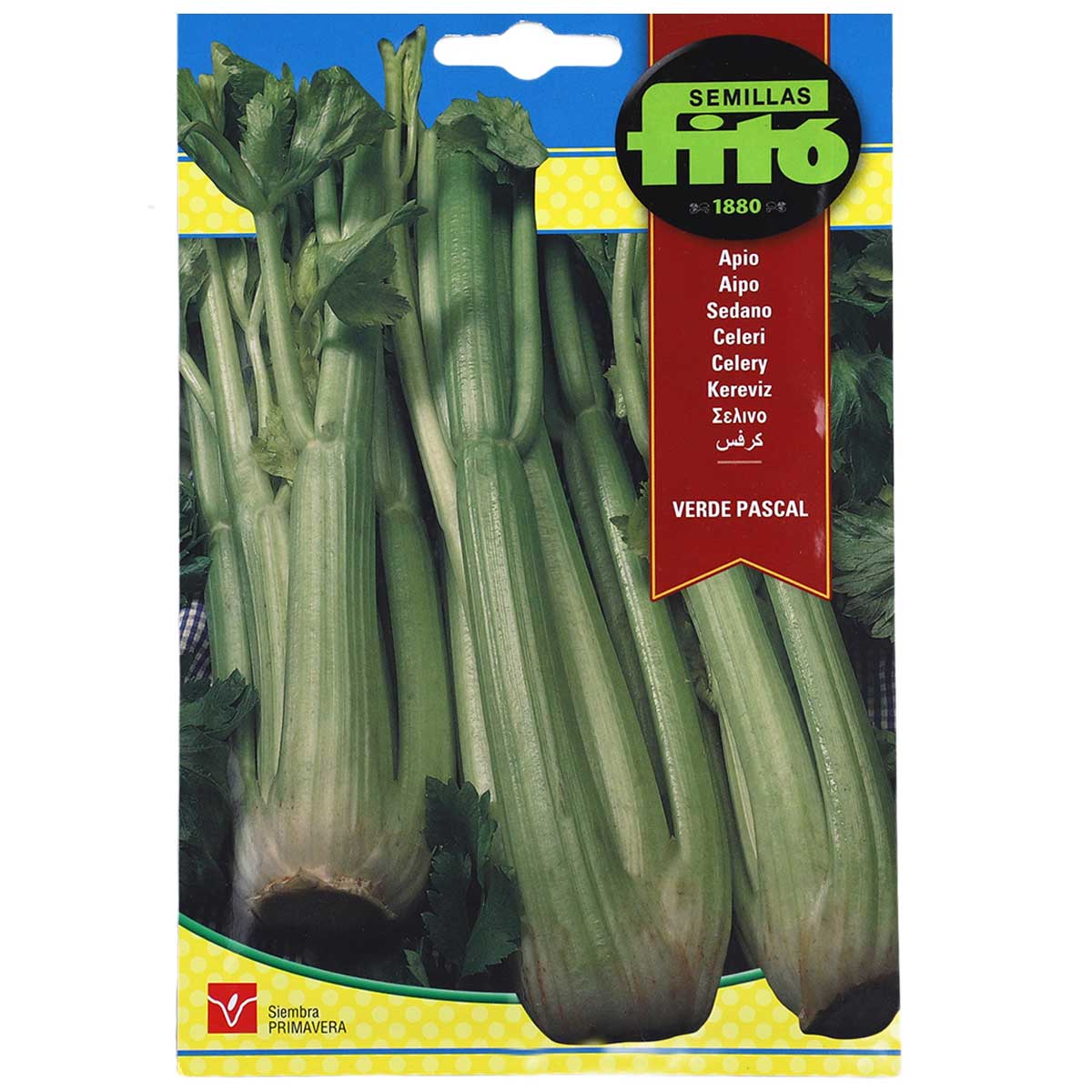 Fito Celery Verde Pascal