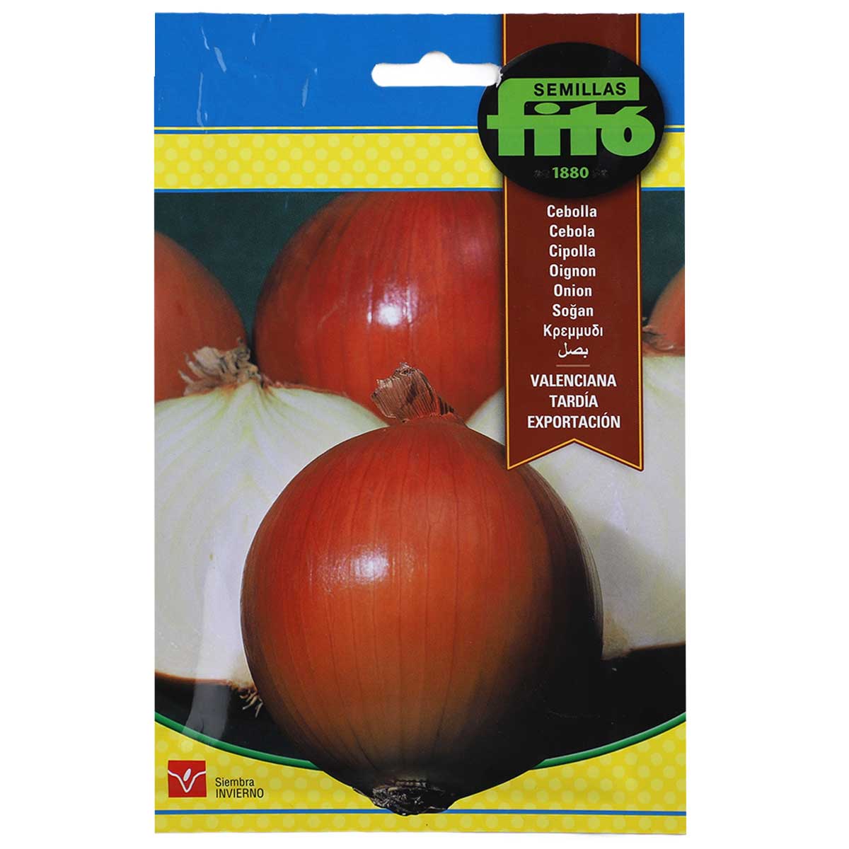 Fito Onion Valenciana