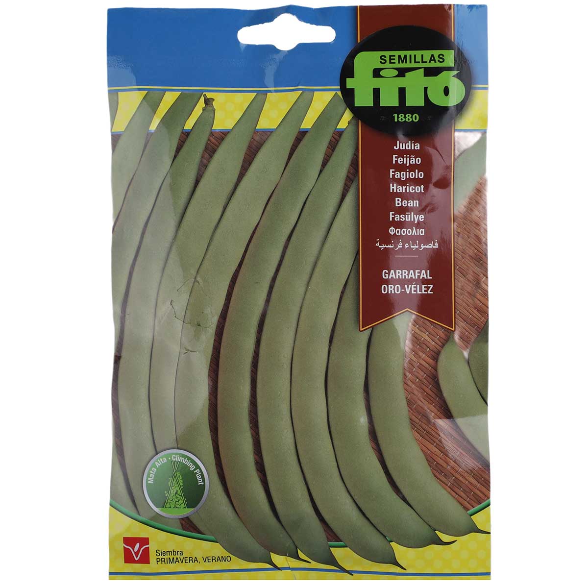 Fito Bean Garrafal Oro Velez