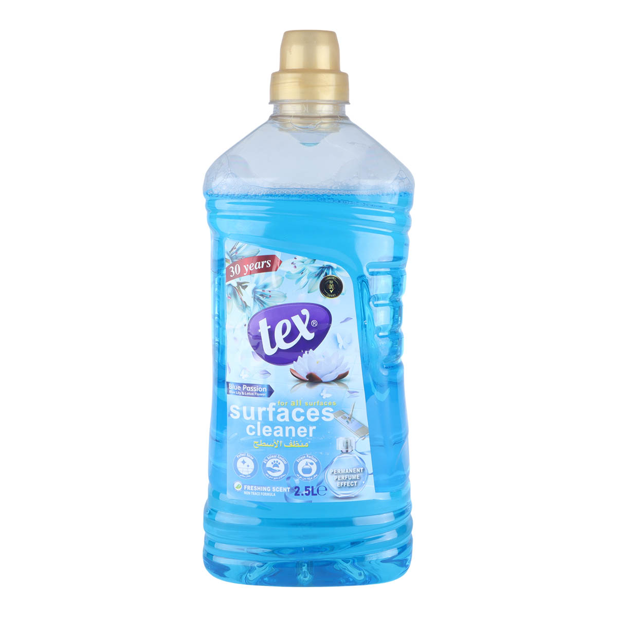 Tex Blue Passion All Surface Cleaner 2.5L