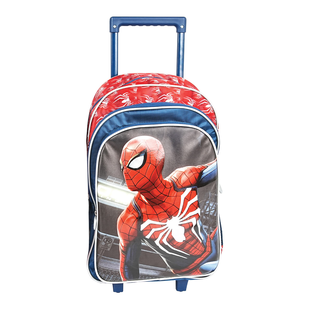 Boys Printed Trolley Bags