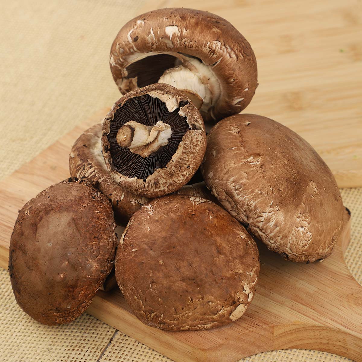 Giant Mushroom 500g