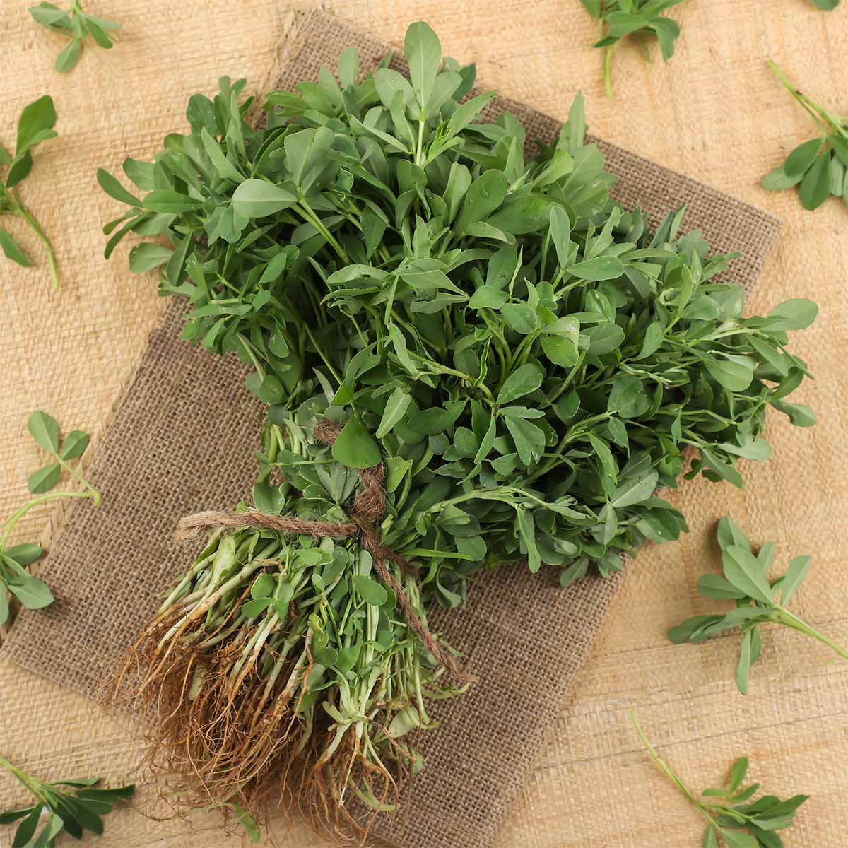 Methi Leaves 250g