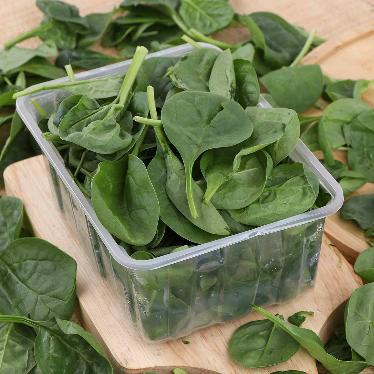 Selezione Oro Baby Spinach