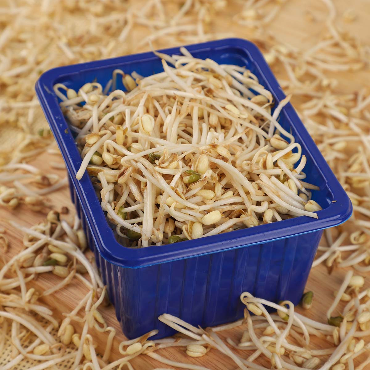 Beans Sprout