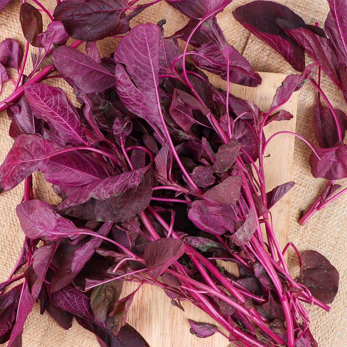 Red Cheera 500g | Fruits & Vegetables | Fresh Herbs | Leafy Green Herbs Red Cheera 500g | Fruits & Vegetables | Fresh Herbs | Leafy Green Herbs