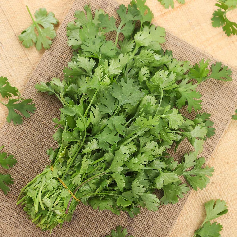 Coriander Leaves 250g